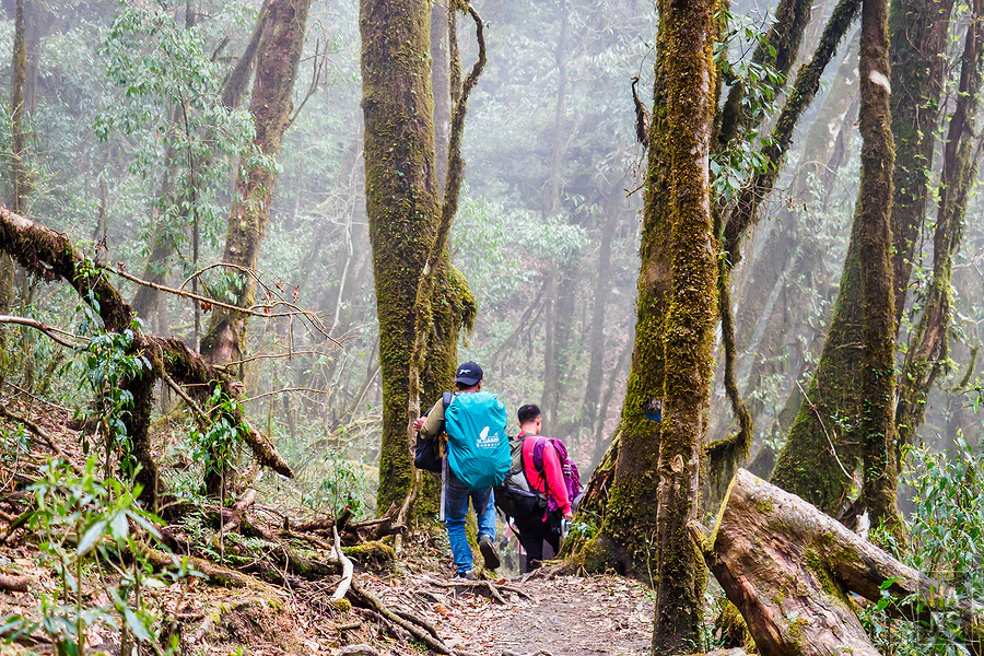 馬蹄山群健行 Mardi Himal Trek