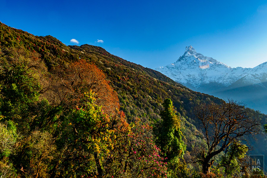 馬蹄山群健行 Mardi Himal Trek