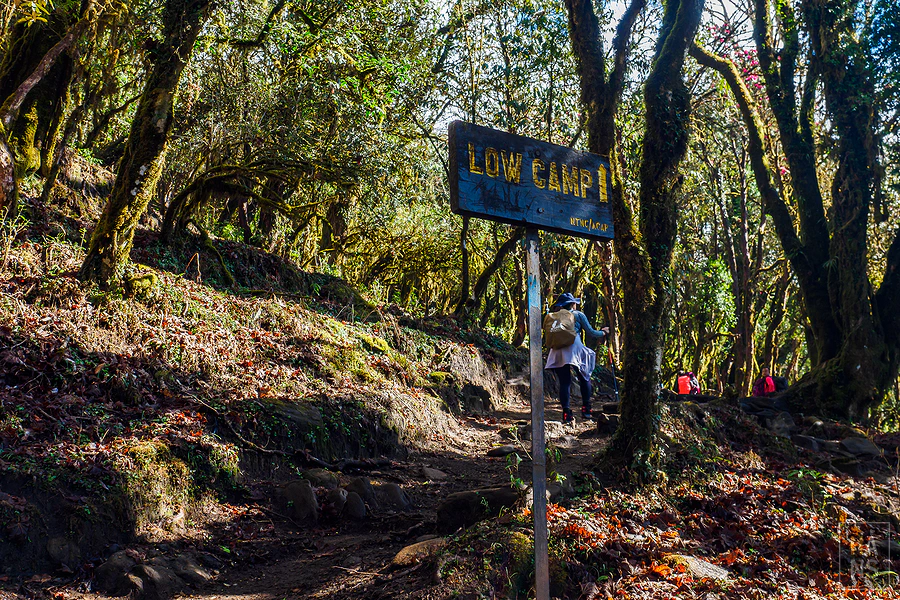 馬蹄山群健行 Mardi Himal Trek