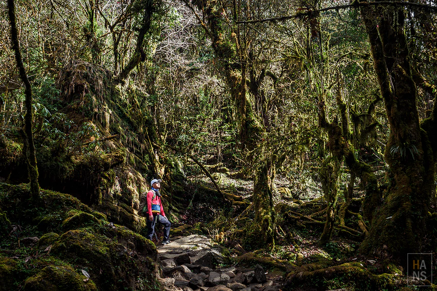 馬蹄山群健行 Mardi Himal Trek