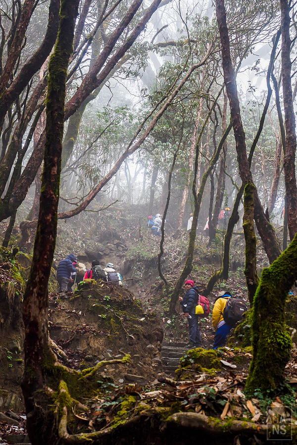 馬蹄山群健行 Mardi Himal Trek