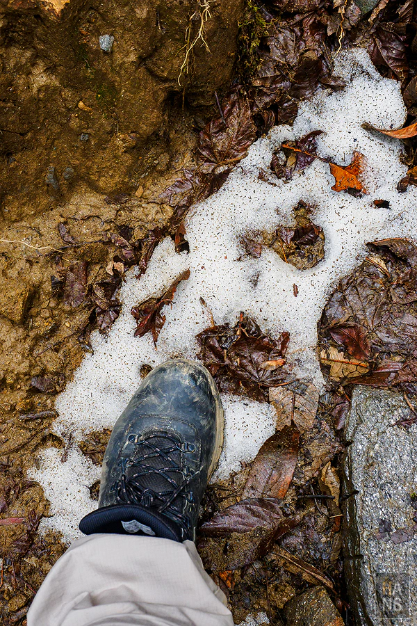 馬蹄山群健行 Mardi Himal Trek
