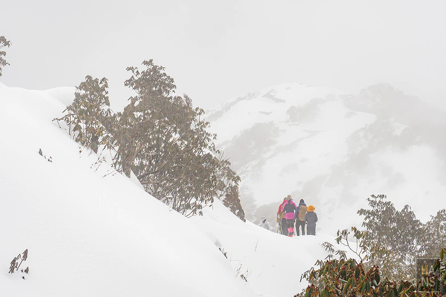 馬蹄山群健行 Mardi Himal Trek