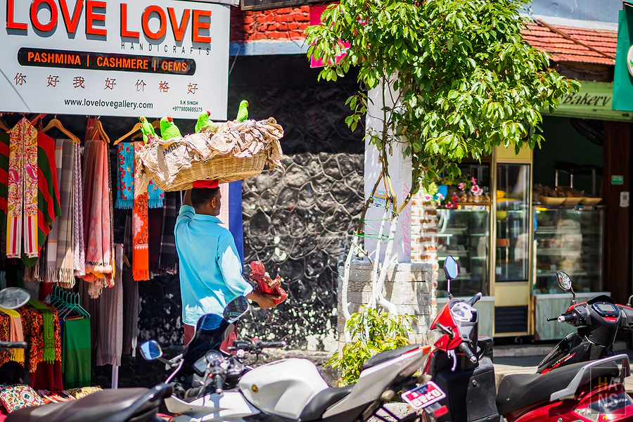 馬蹄山群健行 Mardi Himal Trek