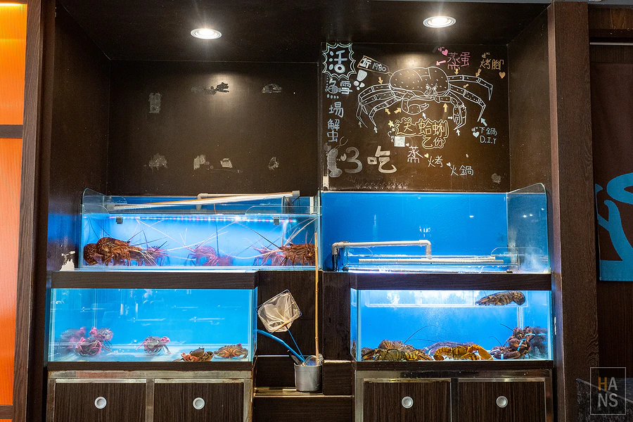 採色鍋_林口頂級涮涮鍋