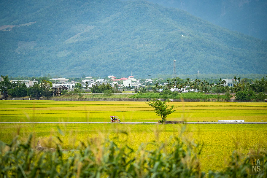 台東池上伯朗大道_清河堂焢土窯米苔目