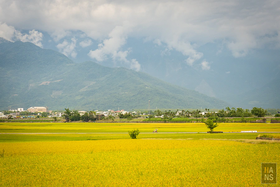 台東池上伯朗大道_清河堂焢土窯米苔目