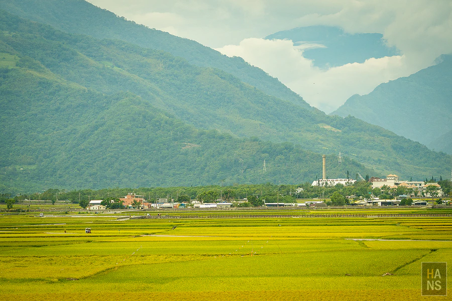 台東池上伯朗大道_清河堂焢土窯米苔目