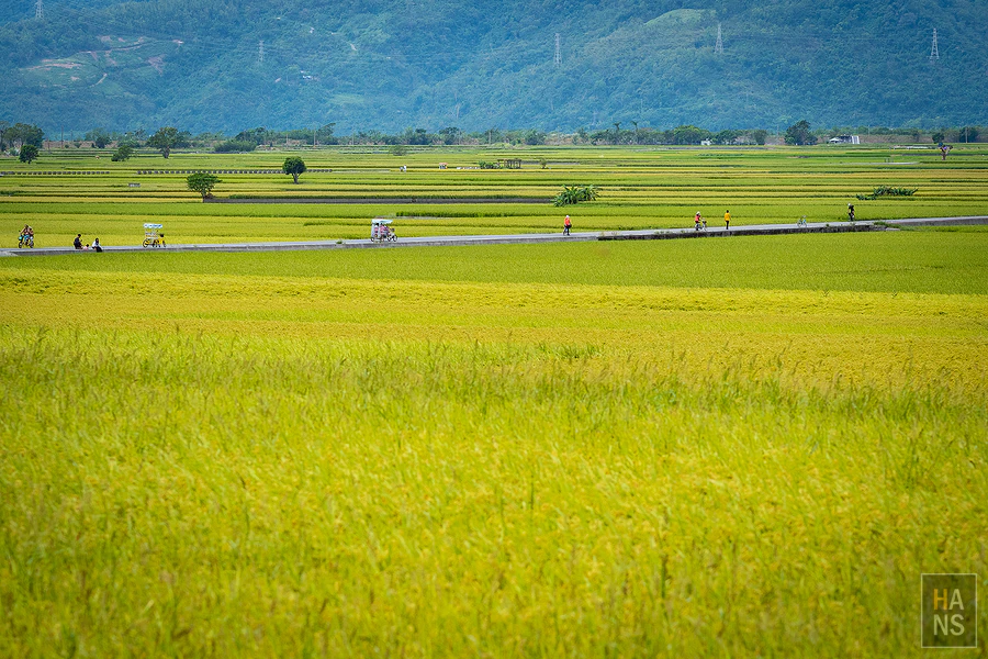 台東池上伯朗大道_清河堂焢土窯米苔目