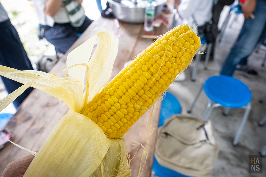 台東池上伯朗大道_清河堂焢土窯米苔目
