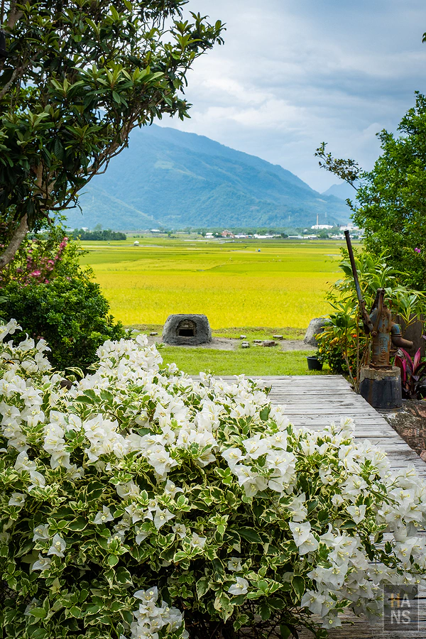 台東池上伯朗大道_清河堂焢土窯米苔目