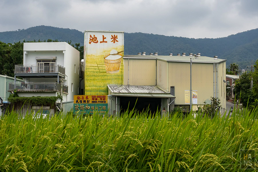 台東池上伯朗大道_清河堂焢土窯米苔目
