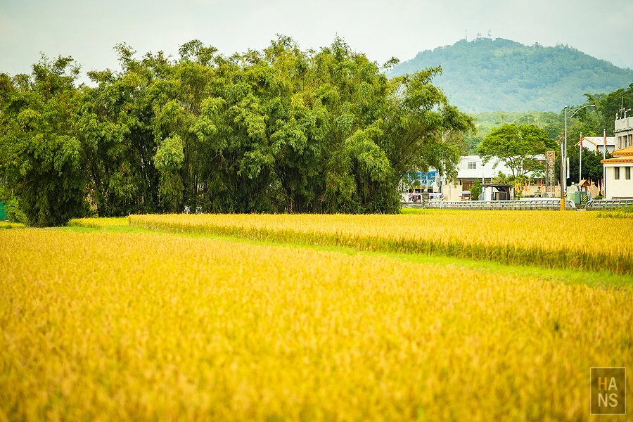 台東池上伯朗大道_清河堂焢土窯米苔目