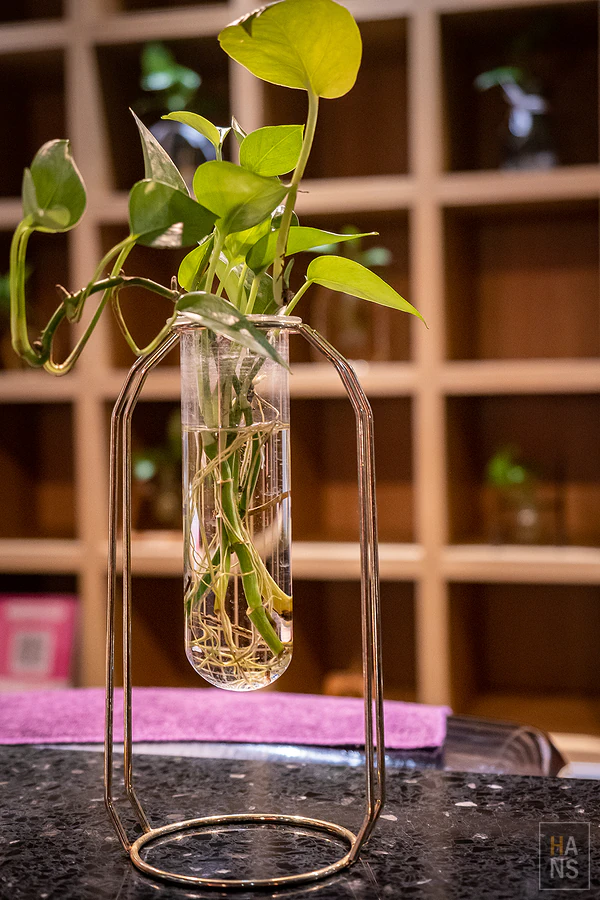 茶田關舍Villa民宿︱台東關山