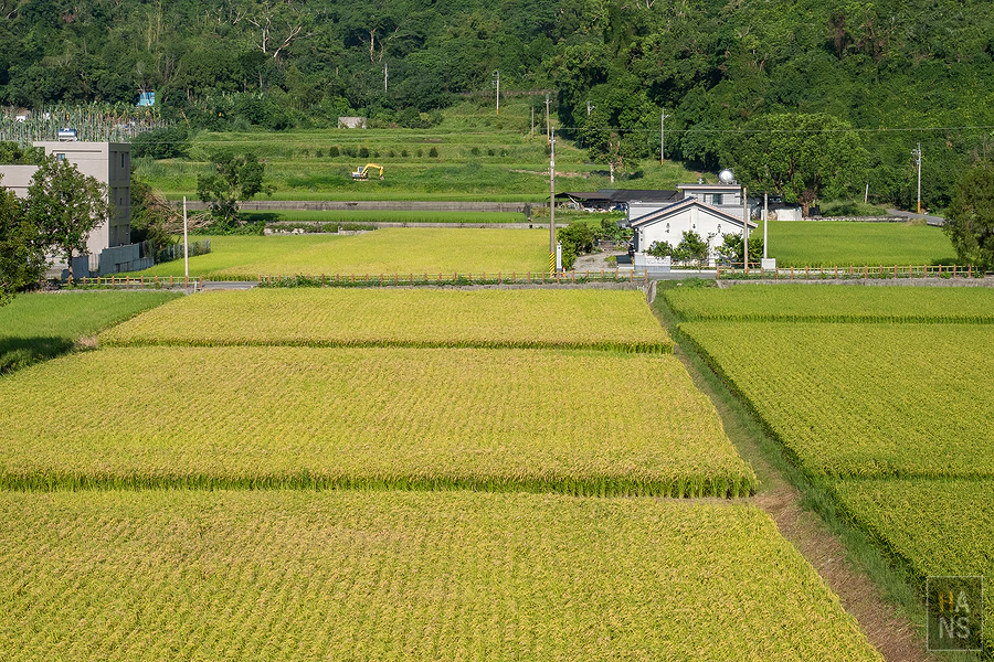 茶田關舍Villa民宿︱台東關山