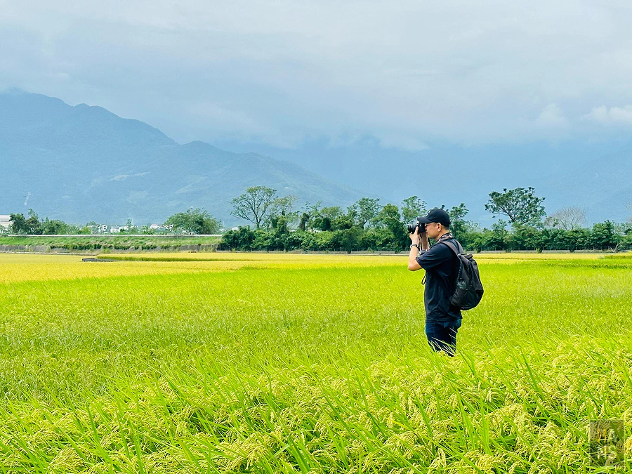 台東池上伯朗大道_清河堂焢土窯米苔目