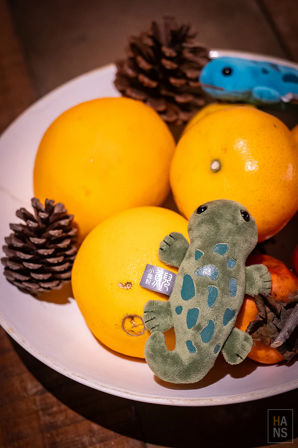 野樵國際旅行社有限公司︱信義區辦公室