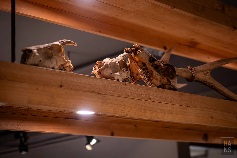 野樵國際旅行社有限公司︱信義區辦公室