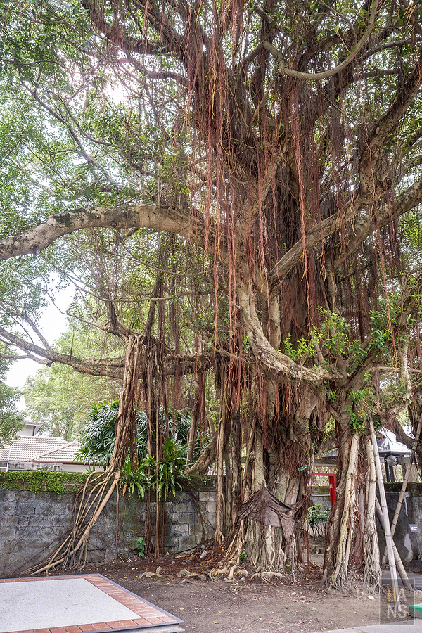 嘉禾新村︱Love 遊臺北