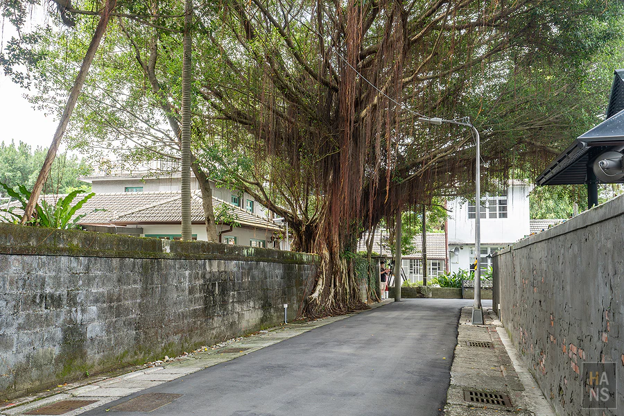 嘉禾新村︱Love 遊臺北