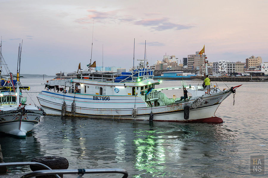 年年有鰆︱澎湖魚市場深度導覽體驗