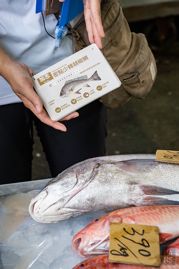 年年有鰆︱澎湖魚市場深度導覽體驗