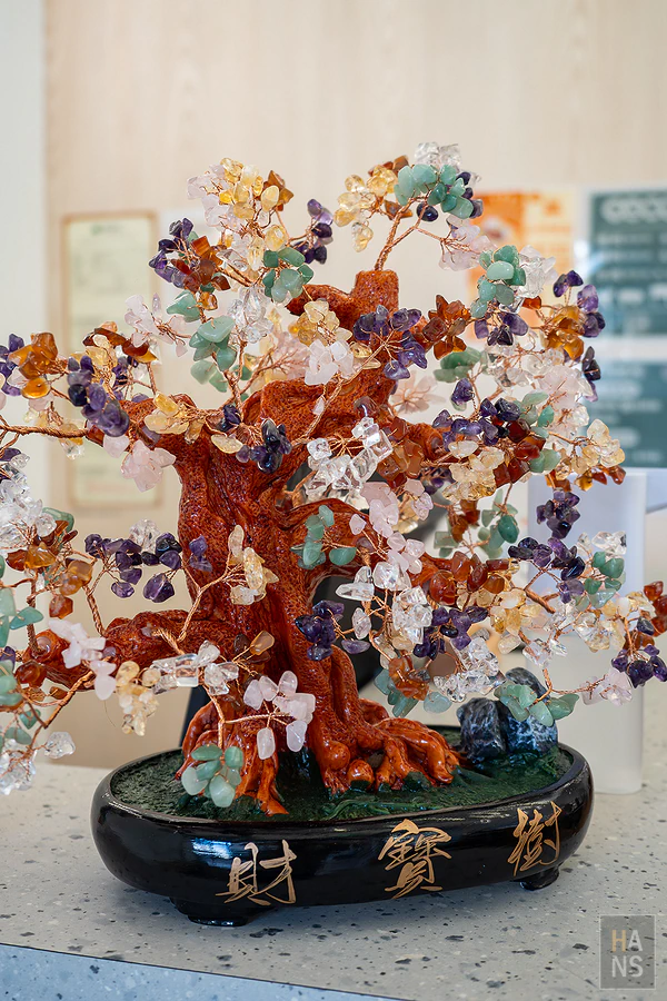 穀雨豐中式、牛排定食