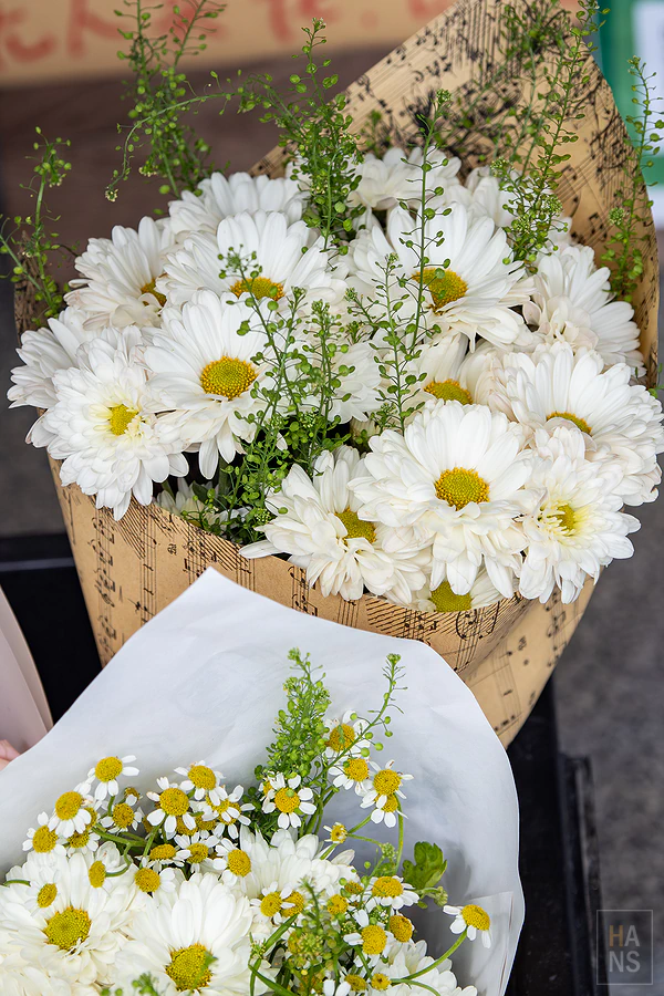 廈門︱沙坡尾藝術西區