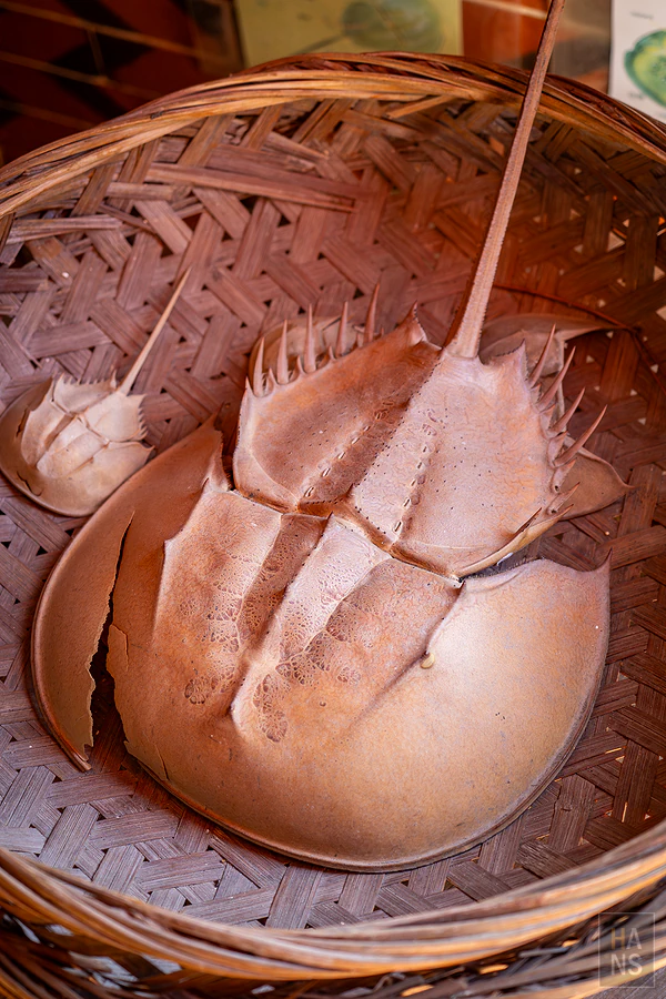 金門水調歌頭民宿