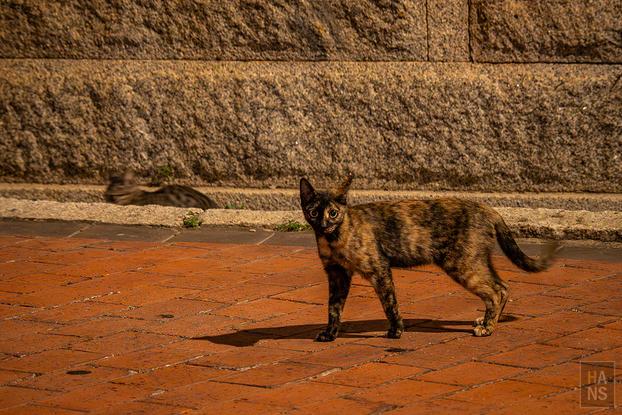 金門水調歌頭民宿
