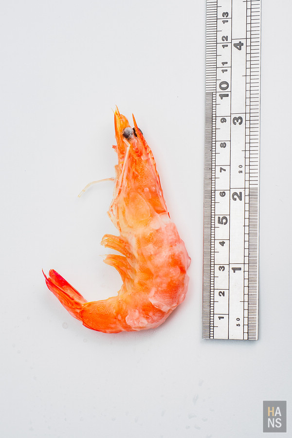 UNIX Chef 嚴選泰國白金熟白蝦